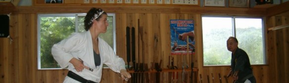 cropped-005-c-sai-1-gakiya-sensei-dojo.jpg