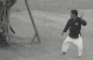 Matayoshi Shinpo throwing sai