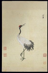 Ming_herbal_(painting);_Siberian_white_crane_Wellcome_L0039440
