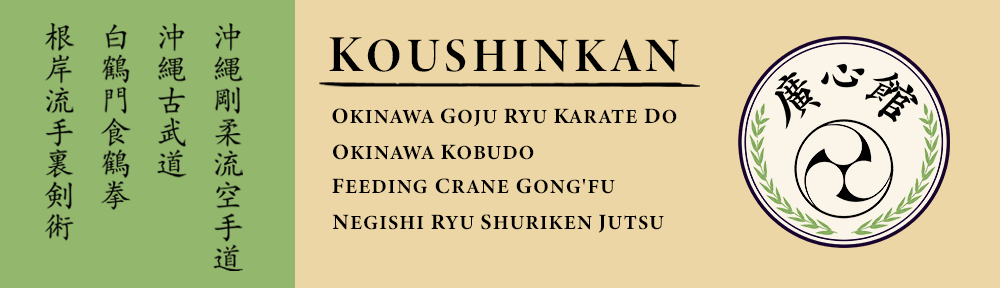 Kodokan Boston